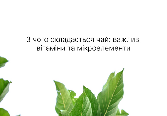 З ЧОГО СКЛАДАЄТЬСЯ ЧАЙ: ВАЖЛИВІ ВІТАМІНИ ТА МІКРОЕЛЕМЕНТИ